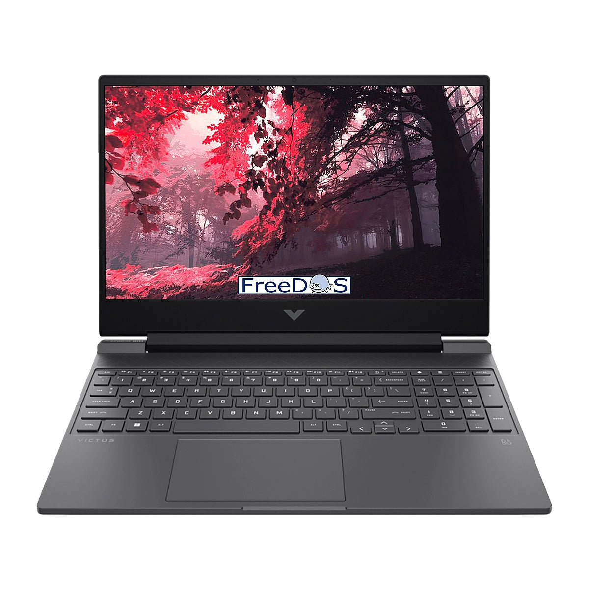 HP Victus 15-fb2020la Ryzen 7 8845HS 16GB 1TB 15.6Inch RTX4050-6GB HDMI DP Black