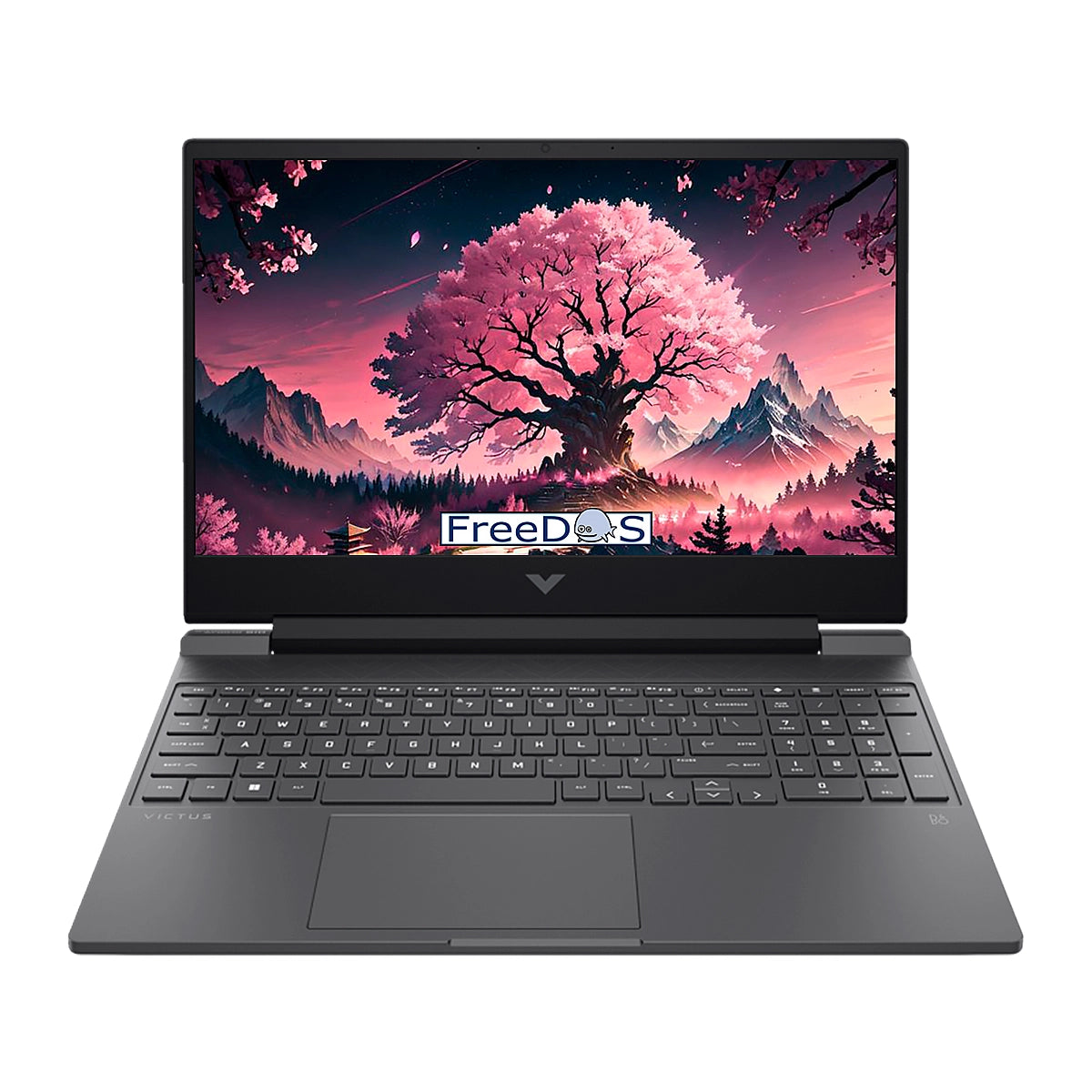 HP Victus 15-fb2025la Ryzen 5 8645HS 16GB 512GB 15.6Inch RTX2050-4GB HDMI DP Black