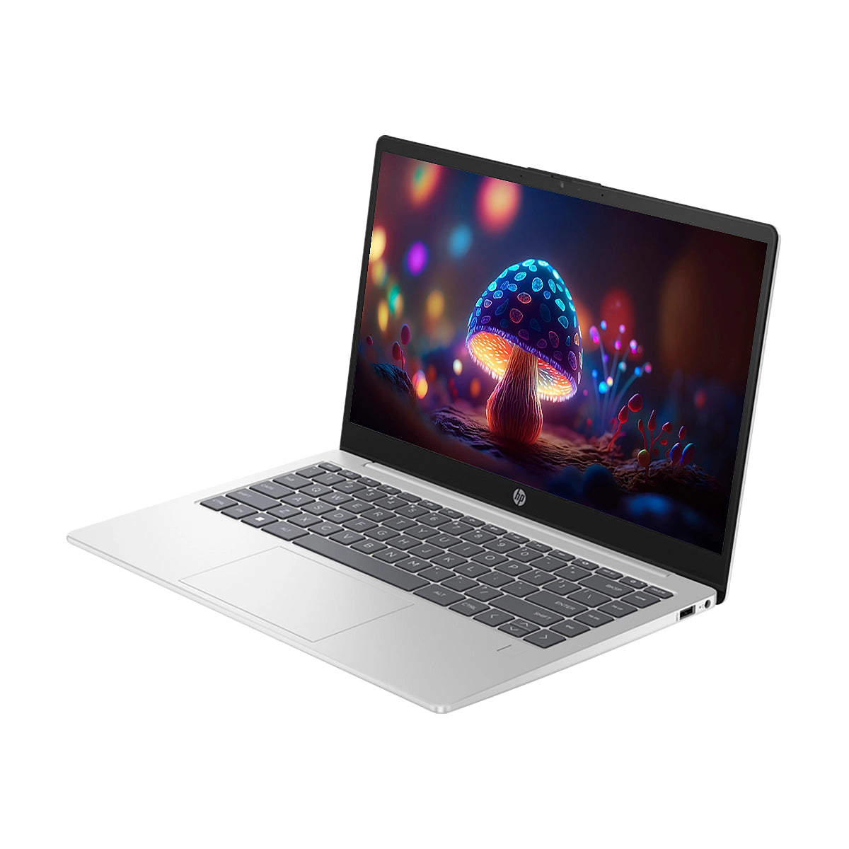 NOT. HP 14-ep1000la Intel Core Ultra 5 125H 16GB 512GB 14Inch HDMI DP USB-C 2USB-A W11-H Silver